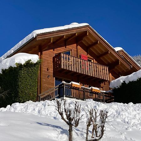 Chalets Du Danay Lachat Saint-Jean-de-Sixt Exterior foto